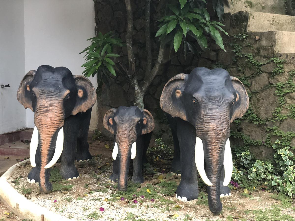 Ella Gate Resort Kumbalwela 外观 照片